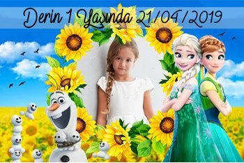  Anna ve Elsa Temalı Parti Konsept