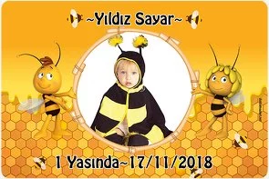 Arı Maya Temalı Doğum Günü Konsepti