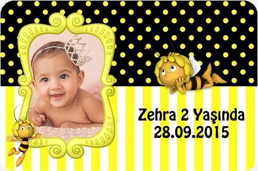 Arı Maya Temalı Doğum Günü Parti Konsept