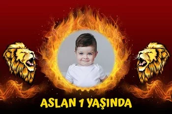 Aslan ile Ateşli Çerçeve Temalı Parti Konsept