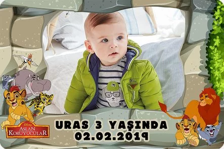 Aslan Koruyucular 2 Temalı Doğum Günü Konsepti