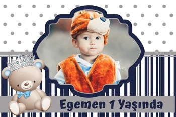 Ayıcık Erkek Temalı Doğum Günü Parti Konsept