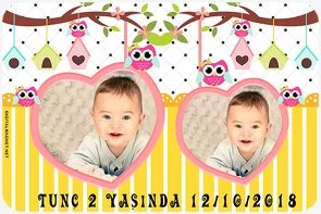 Baykuş Temalı Doğum Günü Konsepti