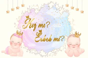 Bebekler ile Cinsiyet Partisi Temalı Parti Konsept