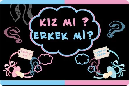 Cinsiyet Partisi Temalı Konsept