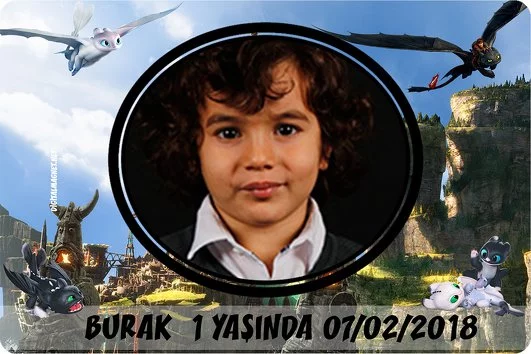 Ejderha Koruyucuları Temalı Parti Konsept