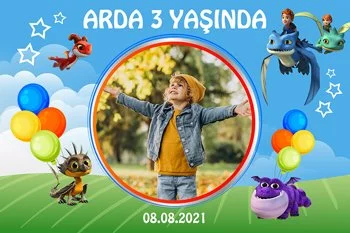 Ejderha Kurtarıcı Ekibi Temalı Parti Konsept