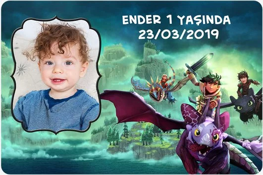 Ejderhanı Nasıl Eğitirsin Doğum Günü Parti Konsepti