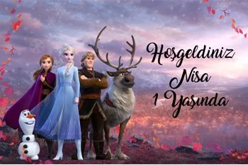 Elsa Karlar Ülkesi Temalı Doğum Günü Parti Konsept