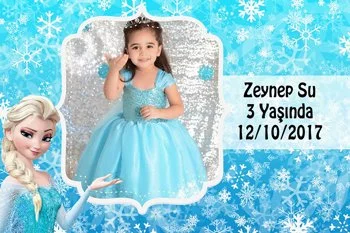 Elsa Mavi Fon Temalı Doğum Günü Konsept