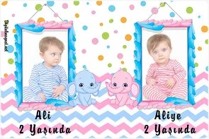 İkiz Fil Temalı Doğum Günü Konsepti