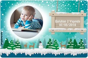 Kış Mevsimi Temalı Doğum Günü Konsepti