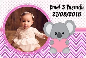 Koala Pembe Temalı Doğum Günü Konsepti