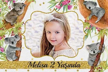 Koala Temalı Doğum Günü Parti Konsept 