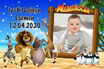 Madagaskar Temalı Doğum Günü Konsept