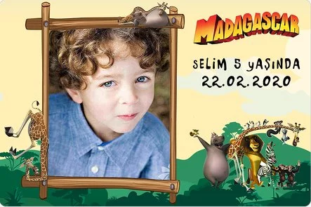 Madagaskar Temalı Parti Konsept