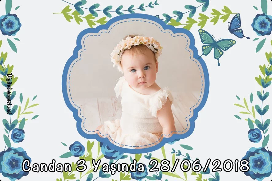 Mavi Çiçek Ve Kelebek Temalı Parti Konsept