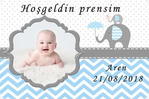 Mavi Gri Fil Temalı Doğum Günü Konsepti