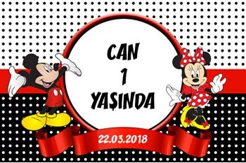 Mickey Mouse Temalı Parti Konsept