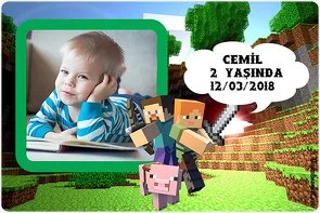 Minecraft Temalı Doğum Günü Konsepti