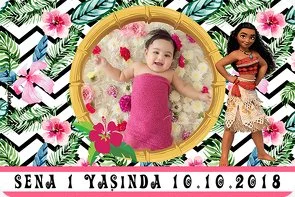 Moana ve Tropikal Temalı Doğum Günü Konsepti