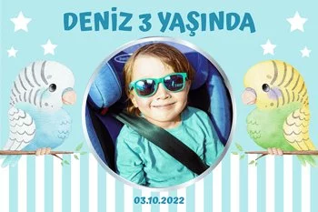 Muhabbet Kuşu Temalı Parti Konsept