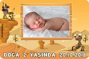 Oscar Çöllerde Temalı Doğum Günü Konsepti