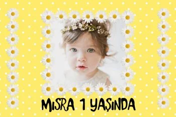 Papatya Çerçeve ile Sarı Fon Temalı Parti Konsept