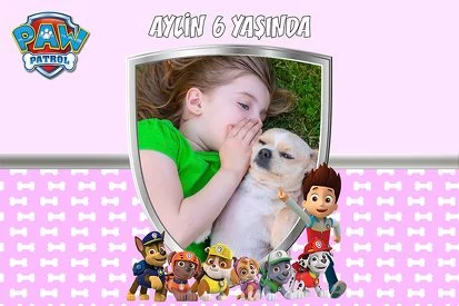 Paw Patrol Pembe Temalı Parti Konsept