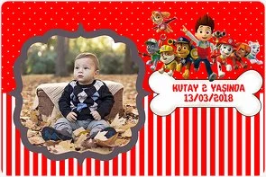 Paw Patrol Temalı Doğum Günü Konsepti