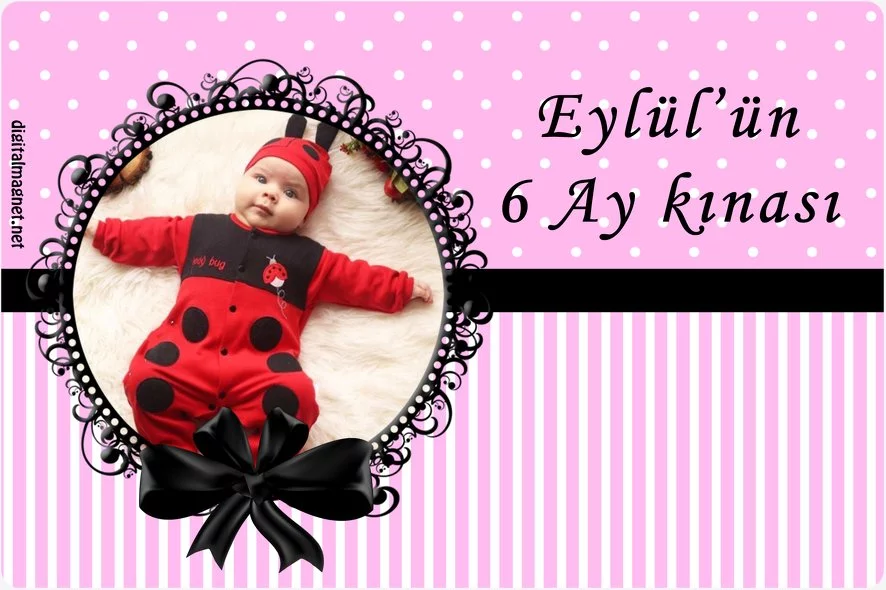 Pembe 6 Ay Kınası İçin Parti Süsleri