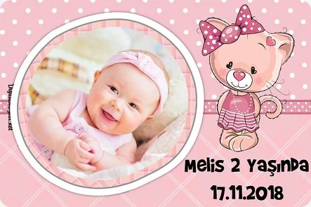 Pembe Ayı Temalı Doğum Günü Konsepti