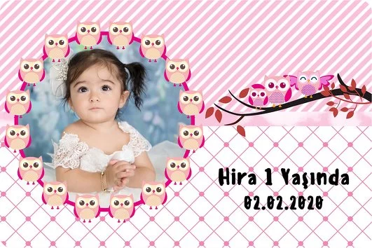 Pembe Baykuş Temalı Doğum Günü Parti Konsept