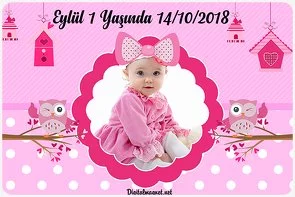 Pembe Baykuşlar 2 Temalı Doğum Günü Konsepti