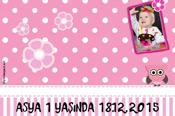 Pembe Baykuşlar Temalı Doğum Günü Konsepti