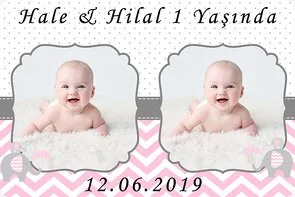 Pembe Gri Fil Temalı Doğum Günü Konsepti