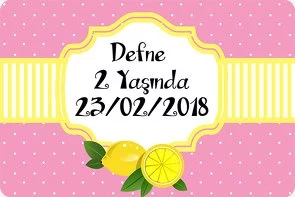 Pembe Limon Temalı Doğum Günü Konsepti