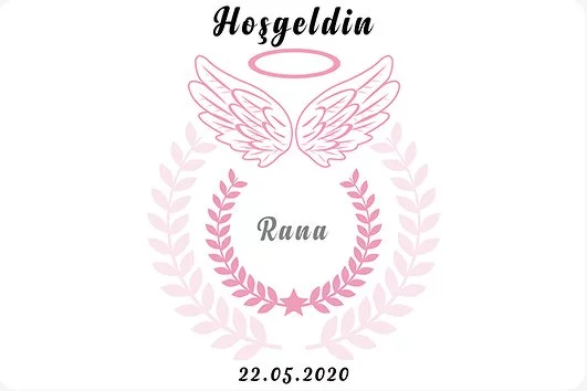 Pembe Melek Kanadı Temalı Parti Konsept