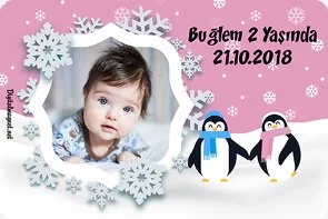 Pembe Penguen Temalı Doğum Günü Konsepti