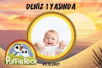 Puffin Rock Temalı Parti Konsept