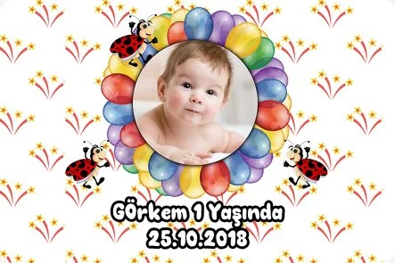 Renkli Balonlar ve Uğur Böceği Temalı Doğum Günü Konsepti