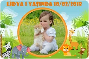 Safari 2 Temalı Doğum Günü Konsepti