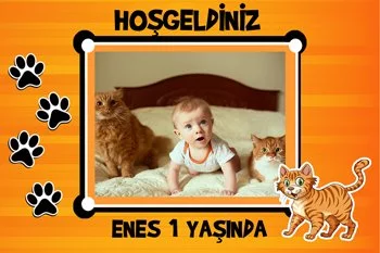 Şanslı Kedi Temalı Doğum Günü Konsepti