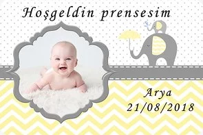 Sarı ve Gri Fil Temalı Doğum Günü Konsepti