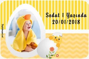 Sevimli Civciv Temalı Doğum Günü Konsepti