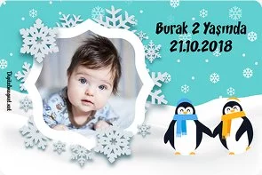 Sevimli Penguen Temalı Doğum Günü Konsepti