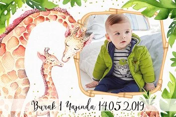 Sevimli Zürafalar Temalı Parti Konsept