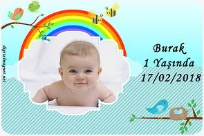 Şirin Kuşlar Temalı Doğum Günü Konsepti