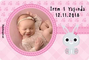 Tavşan Temalı Doğum Günü Konsepti