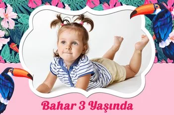 Tukan Kuşu Pembe Çiçekler Temalı Parti Konsept